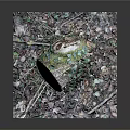 Natural Tree Stump Decor With Ivy Leaves Fallen Twigs And Wood Texture