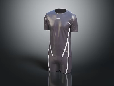 Sleek Gray Athletic Sports Outfit With White Stripes Short Sleeve Top And Shorts 3d model