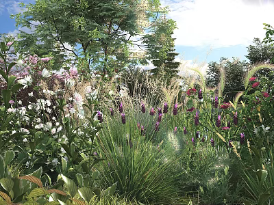 Vibrant Mixed Flowers And Green Grasses In Natural Garden With Trees And Sunlight 3d model