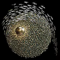 Modern Circular Wall Decor Featuring Gold Sphere Silver Leaf And Gold Dotted Accents 3d model