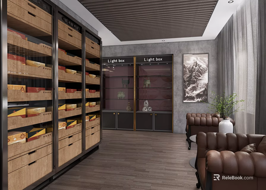 Cozy Leisure Area with Wooden Bookshelves Glass Display Cabinets Leather Sofas and Green Plants 3d model 