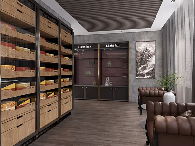 Cozy Leisure Area with Wooden Bookshelves Glass Display Cabinets Leather Sofas and Green Plants 3d model