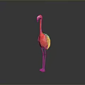Pink Flamingo Standing Gracefully With Detailed Feathers On Plain Gray Background