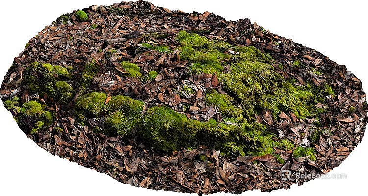 Natural Stone And Wood Surface Covered With Green Moss And Dry Leaves 3d model 
