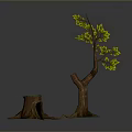 Tree with Green Leaves and Brown Trunk Beside Tree Stump with Roots