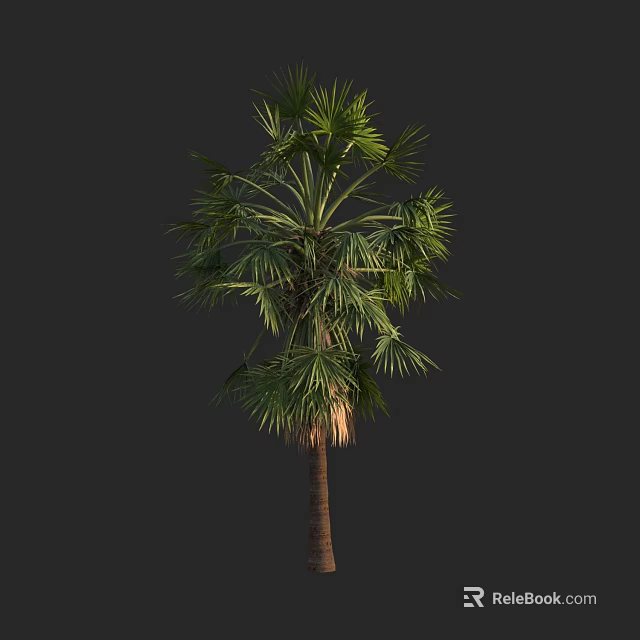 Tall Healthy Palm Tree with Green Fronds and Brown Trunk in Natural Growth 3d model 