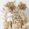 Modern Garden Decor With Various Green Plants In Different Planters And Arrangements
