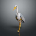 White and Grey Heron Standing with Long Yellow Beak and Yellow Legs on Reflective Surface