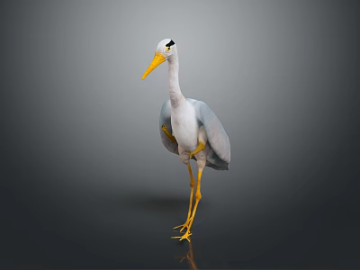 White and Grey Heron Standing with Long Yellow Beak and Yellow Legs on Reflective Surface 3d model