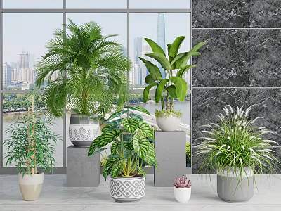 Indoor Plants Collection With Various Greenery In Stylish Pots Near Large Windows And City View 3d model