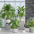 Indoor Plants Collection With Various Greenery In Stylish Pots Near Large Windows And City View