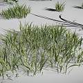 Various Green Plants Including Grass Shrubs and Leafy Sprouts Arranged on Gray Background
