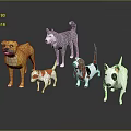 Colorful Cartoon Dog Models With Various Breeds And Reflections On Black Background