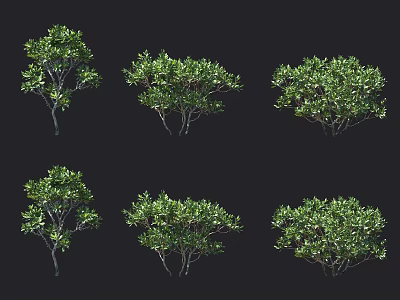 Various Green Shrubs with Diverse Foliage and Growth Patterns for Landscaping 3d model