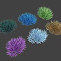 Colorful Sea Urchins In Multiple Vibrant Colors On Dark Background