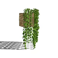 Lush Green Vines Covering Wooden Trellis Gracefully Hanging With Dense Foliage