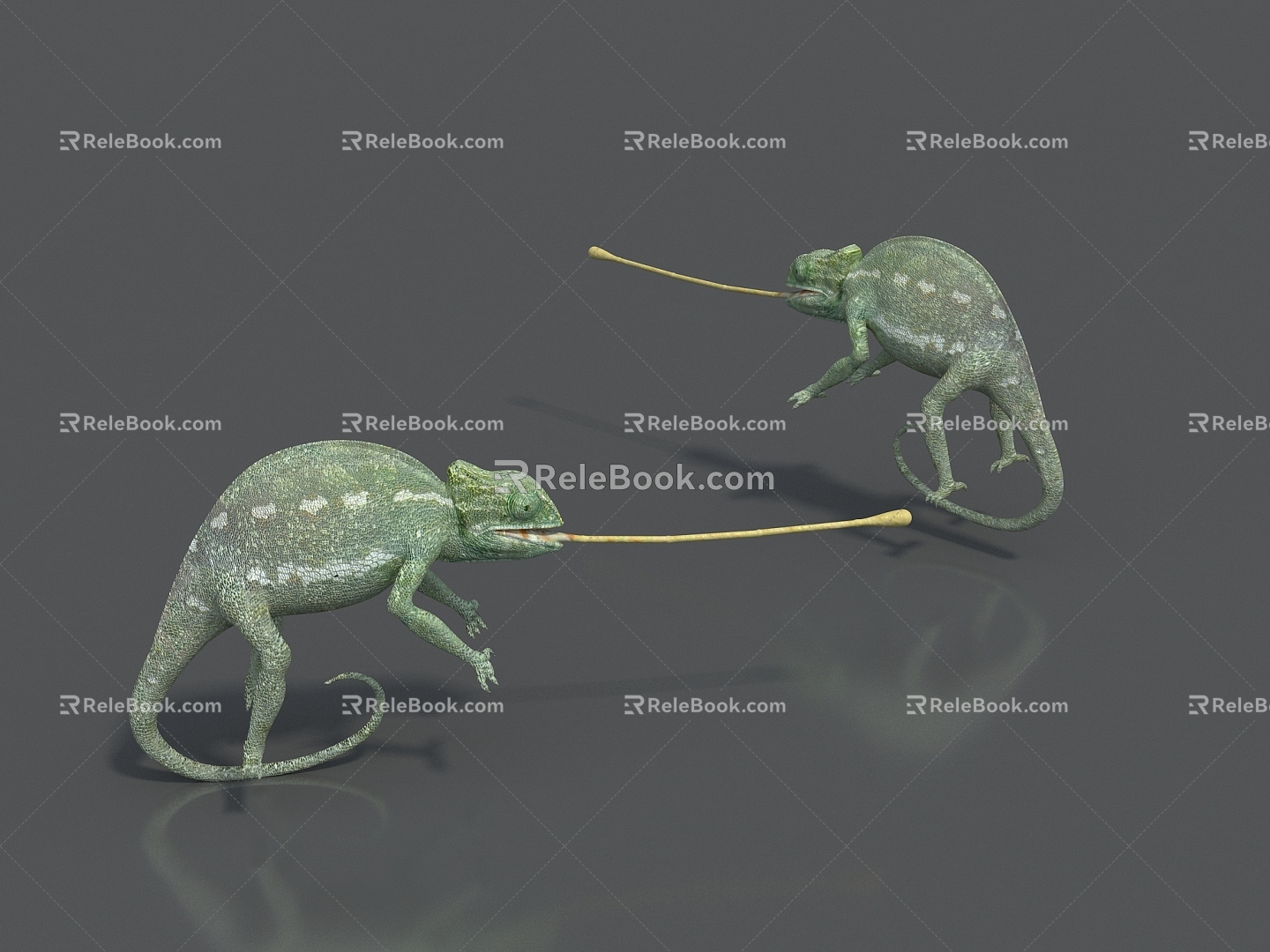 Pet Lizard 3d model