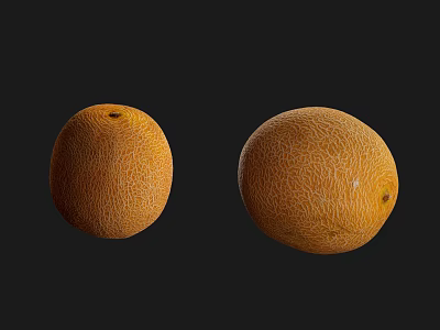 Hami melon fruit melon fruit food vegetable melon 3d model Hami melon fruit melon fruit food vegetable melon 3d model