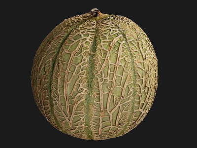 Hami melon melon fruit melon fruit lemon 3d model Hami melon melon fruit melon fruit lemon 3d model