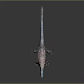 Highly Detailed Lizard With Blue Head And Red Gray Scales On Dark Surface