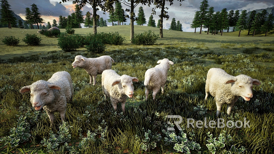 Modern Sheep model