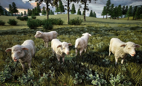 Modern Sheep 3d model