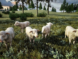 Modern Sheep 3d model