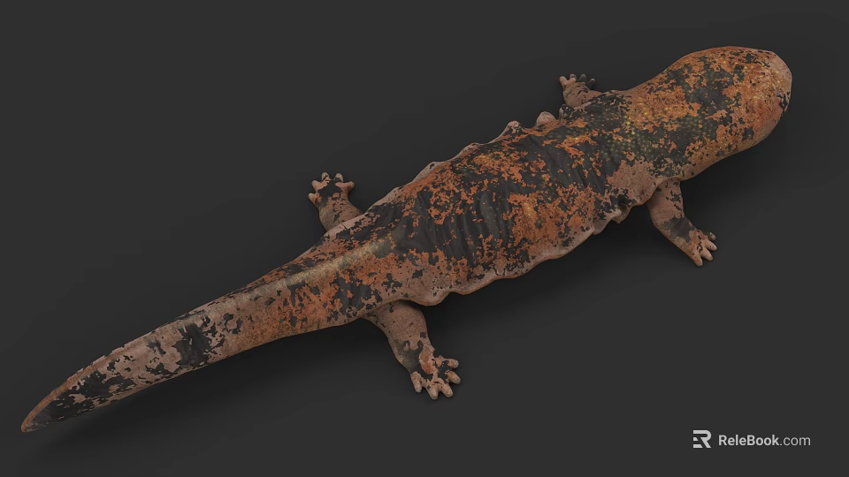 Aquatic Animal With Brown Black Spotted Body Long Tail And Four Limbs Structure 3d model 