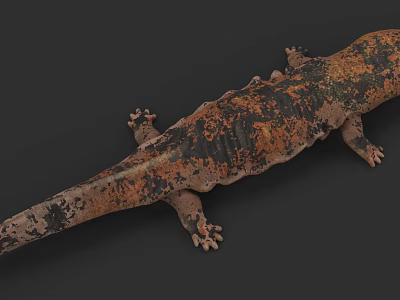 Aquatic Animal With Brown Black Spotted Body Long Tail And Four Limbs Structure 3d model