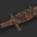 Aquatic Animal With Brown Black Spotted Body Long Tail And Four Limbs Structure