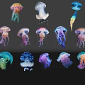 Colorful Jellyfish With Vibrant Hues And Reflective Surfaces On Black Background
