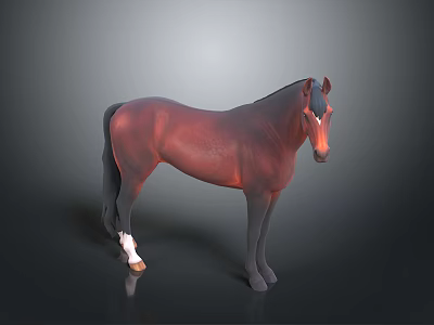 3D Horse Model With Standing Pose Detailed Brown Coat And Dark Background 3d model