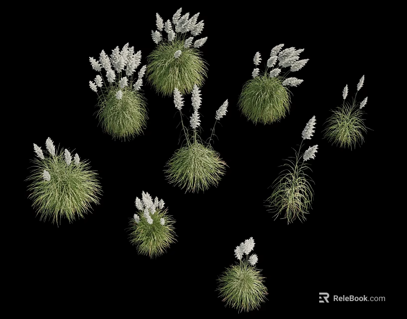 Lush Green Grass Tufts With Delicate White Flowers Arranged On Black Background 3d model 