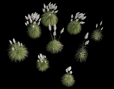 Lush Green Grass Tufts With Delicate White Flowers Arranged On Black Background 3d model