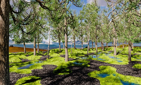 Modern Park Wetland Park 3d model