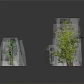 Various Green Plants Collection With Different Shapes And Sizes Displayed On Gray Background