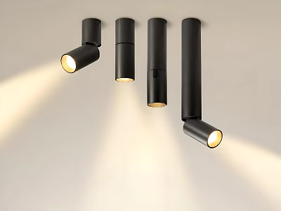Sleek Black Modern Downlights And Spotlights With Warm Illumination For Interior Lighting 3d model