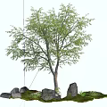 Tall Arbor With Green Leaves Surrounded By Stones And Lush Grass