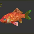 Bright Red Goldfish Showcasing Golden Scales Flowing Fins and Curved Tail