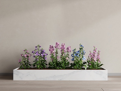 Modern Flower Box Violet Garden Flowers Landscape Flowers 3d model