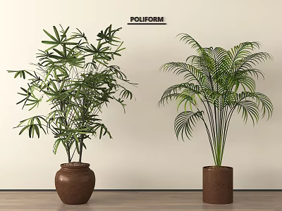 Potted Plants Indoor Decoration With Palm And Broad Leaves In Brown Pots On Wooden Floor 3d model