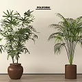 Potted Plants Indoor Decoration With Palm And Broad Leaves In Brown Pots On Wooden Floor