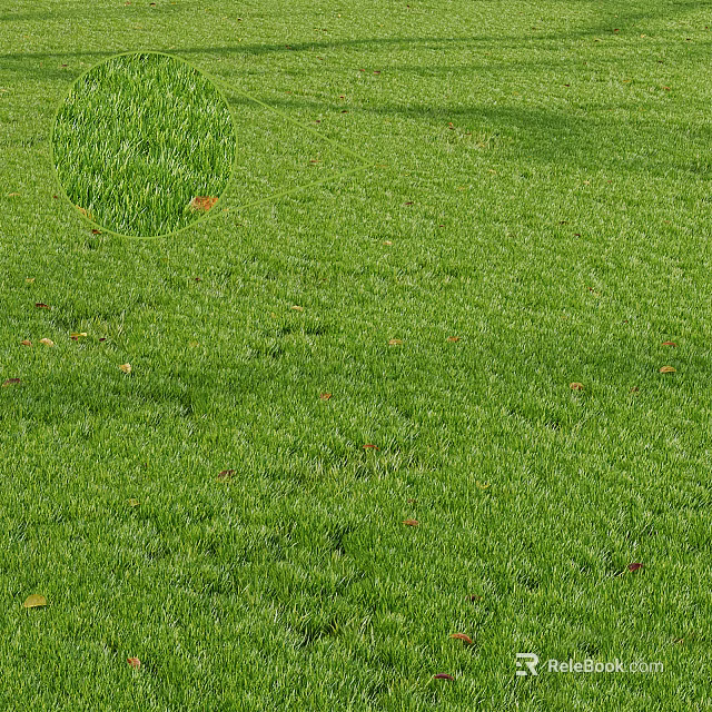 Lush Green Grass in Outdoor Natural Setting with Scattered Fallen Leaves 3d model 