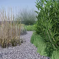 Diverse Ground Cover Plants In Garden With Gravel Path And Colorful Flowers