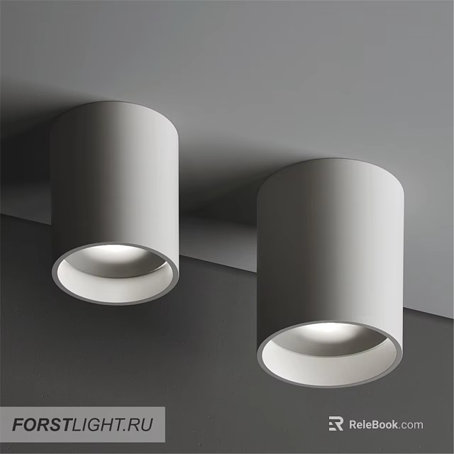 Stylish Modern White Downlights Spotlights Ceiling Mounted Indoor Lighting Design 3d model 
