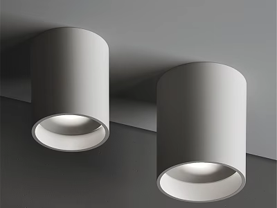Stylish Modern White Downlights Spotlights Ceiling Mounted Indoor Lighting Design 3d model