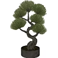 Artistic Bonsai Plant With Twisted Trunk And Lush Green Foliage In Pot