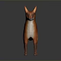 Realistic Red Fox Standing With Detailed Fur And Long Tail