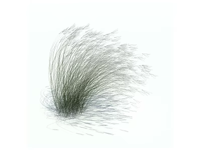 Natural Ornamental Grass With Long Slender Leaves Growing On White Background 3d model