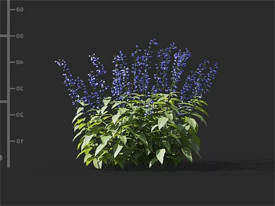 Beautiful Blue Purple Flowers With Green Leaves For Garden Decoration 3d model